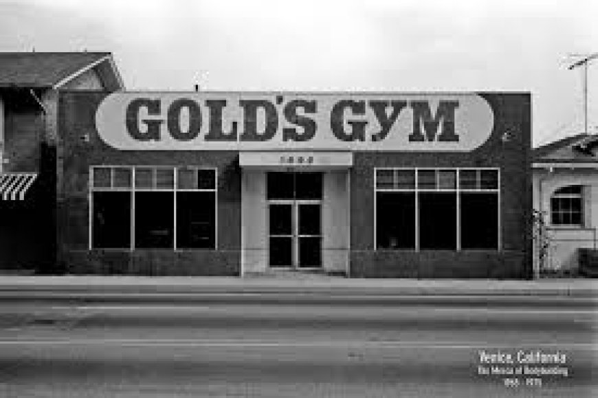 Gold Gym Membership Price List 2025