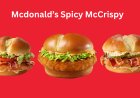 McDonald’s Spicy McCrispy 2026: Price, Nutrition & Ingredients 